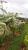 Prédio Inteiro, 450 m² - Foto 3