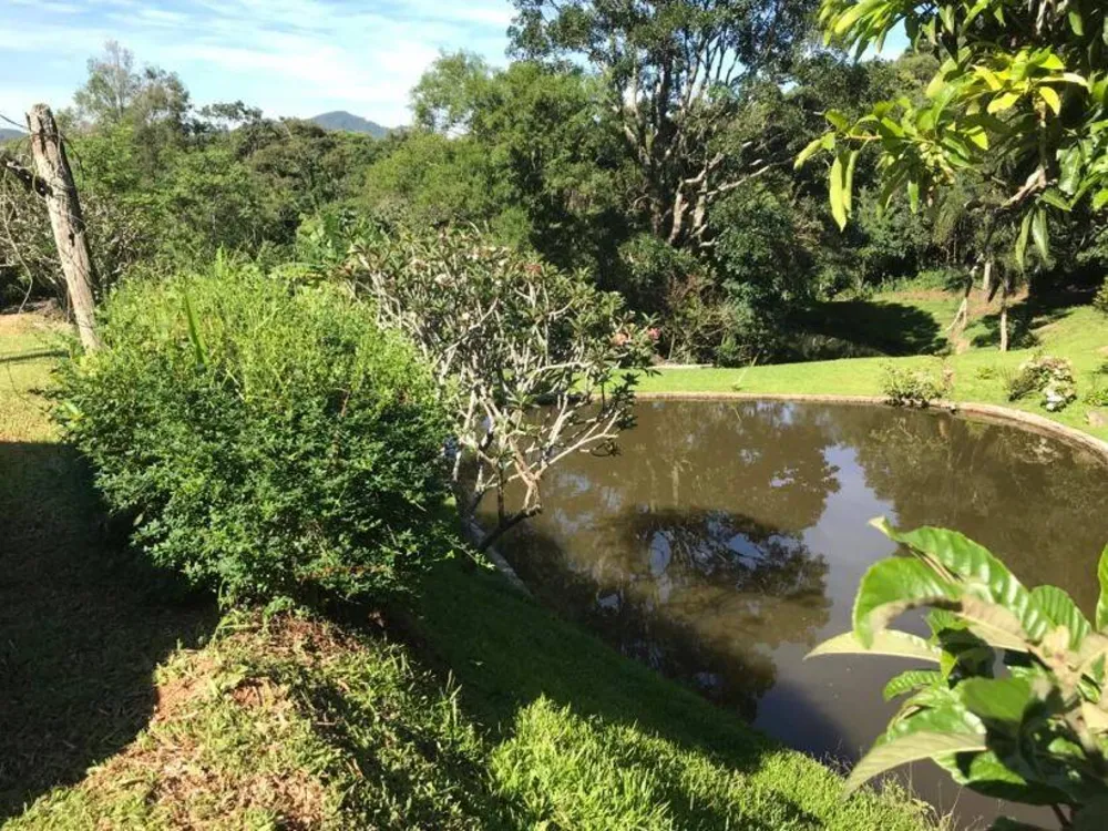 Sítio, 3 quartos, 3 hectares - Foto 8