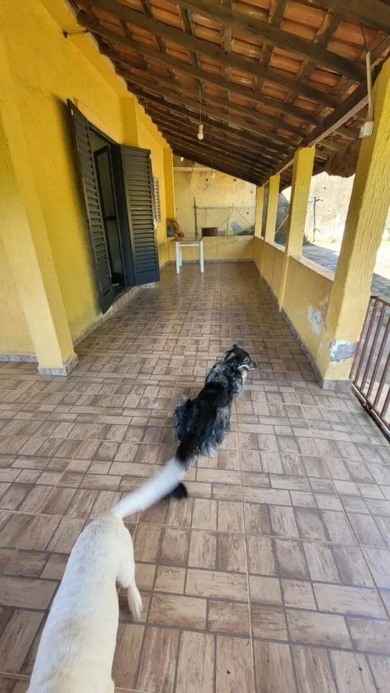 Chácara, 6 quartos, 7200 m² - Foto 10