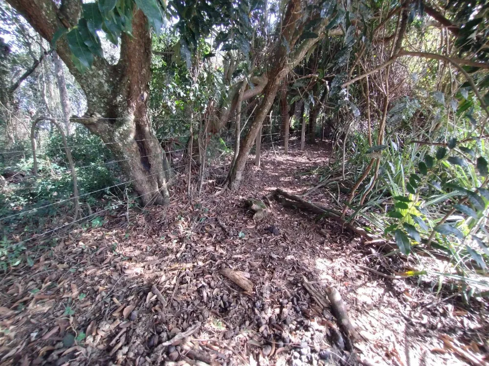 Terreno, 1000 m² - Foto 6