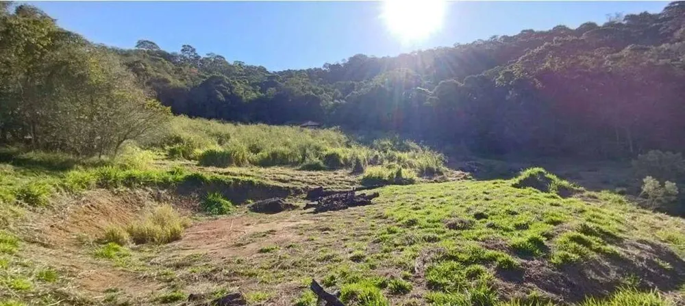 Sítio, 2 quartos, 2 hectares - Foto 7