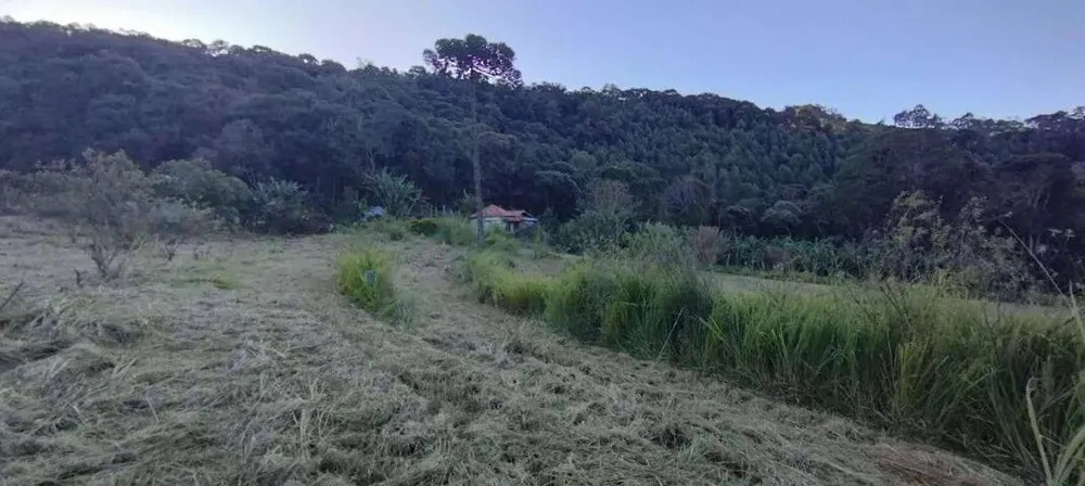 Sítio, 2 quartos, 2 hectares - Foto 6
