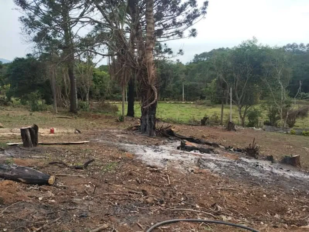 Prédio Inteiro - Foto 3