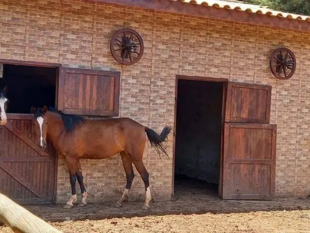 Chácara, 4 quartos, 5664 m² - Foto 2