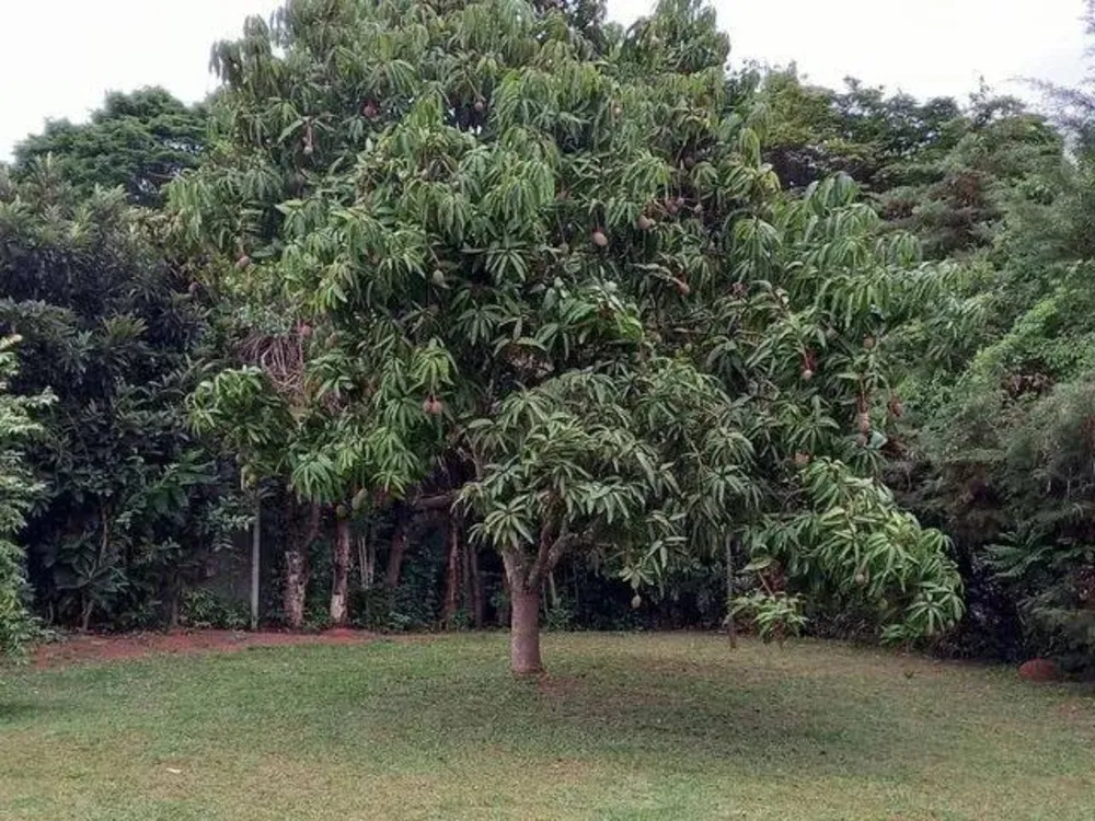Chácara, 4 quartos, 5664 m² - Foto 10