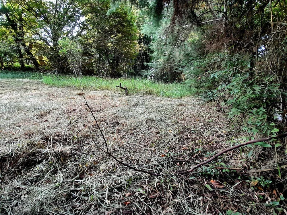 Terreno, 700 m² - Foto 4
