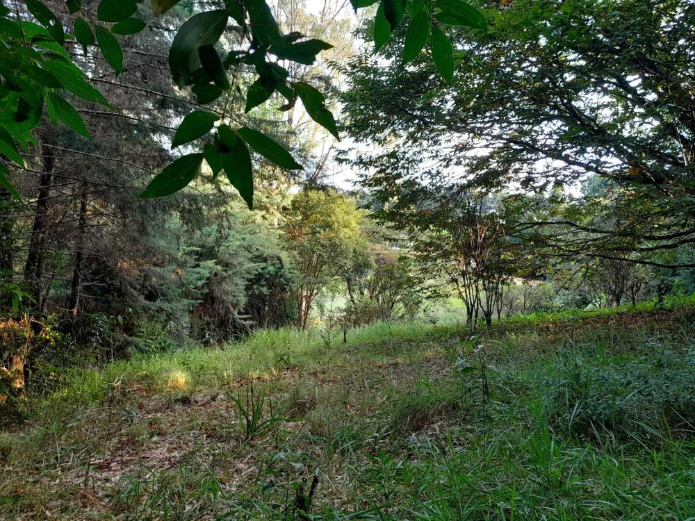 Terreno, 700 m² - Foto 3