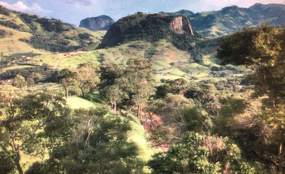 Chácara, 2 quartos, 6000 m² - Foto 4