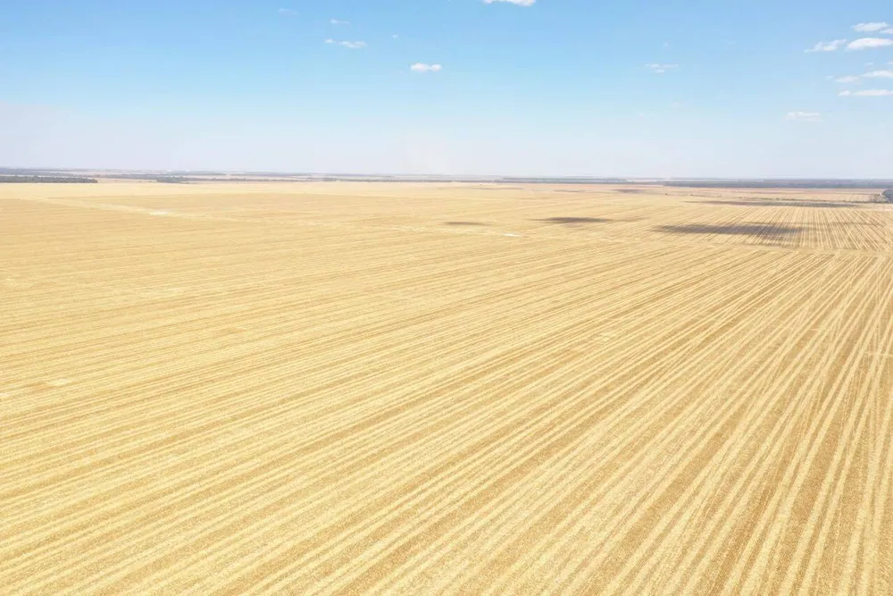 Terreno, 7236 hectares - Foto 11