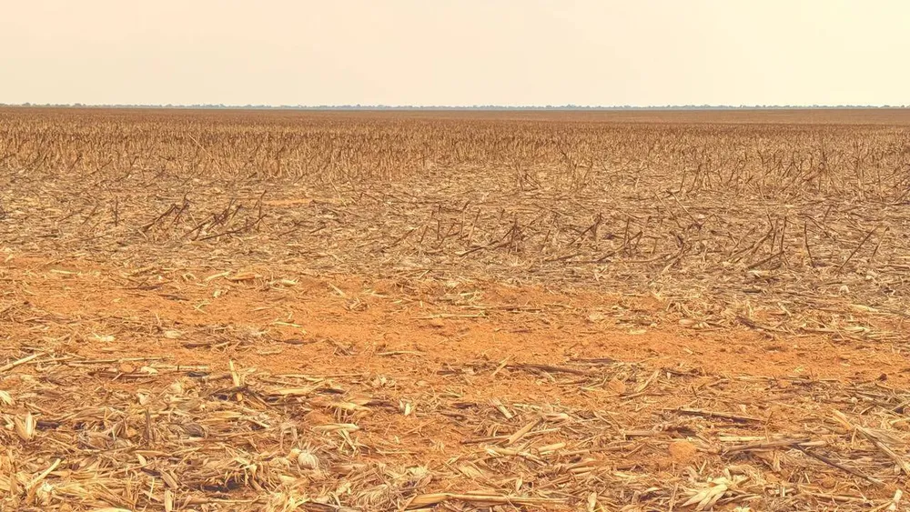 Terreno, 7236 hectares - Foto 3