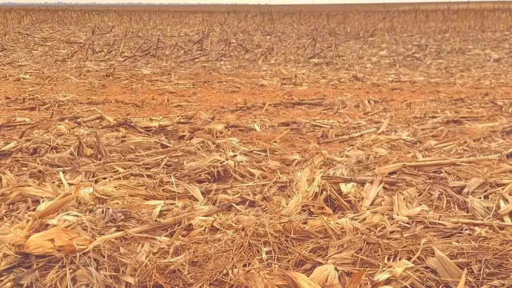 Terreno, 7236 hectares - Foto 2