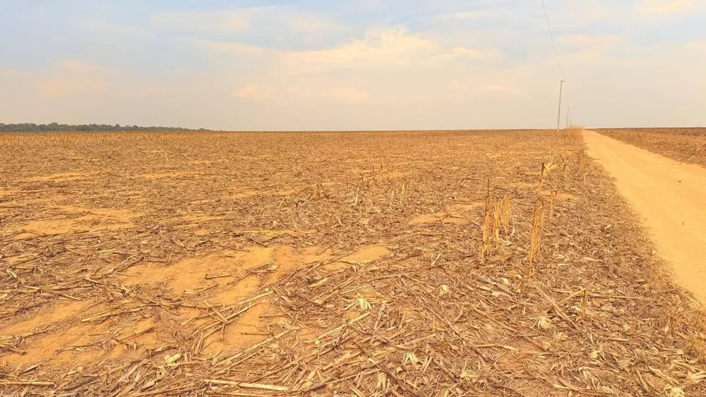 Terreno, 7236 hectares - Foto 6