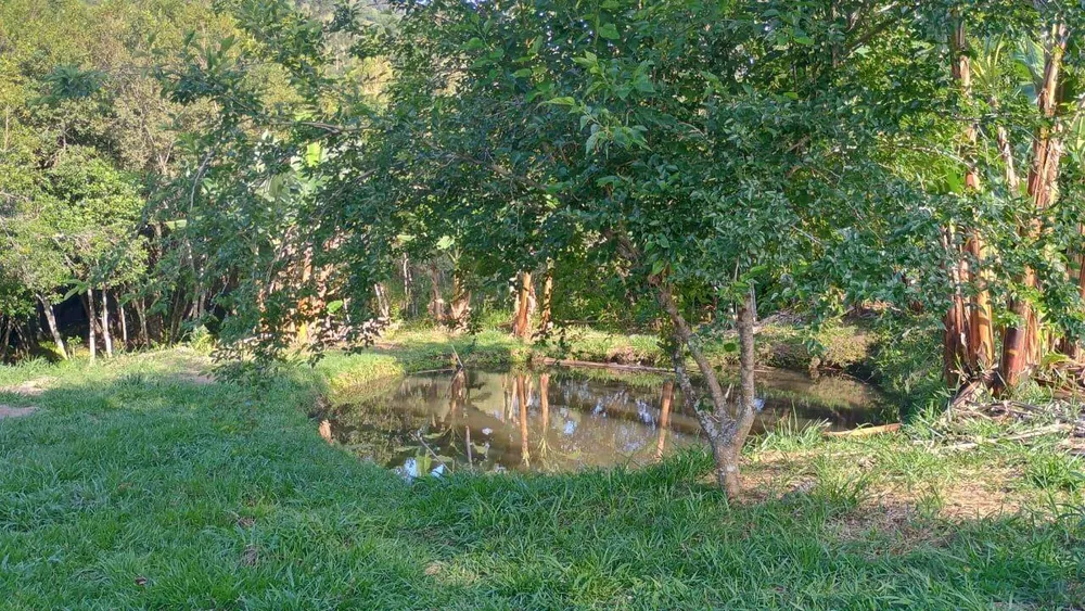 Sítio, 3 quartos, 3 hectares - Foto 12