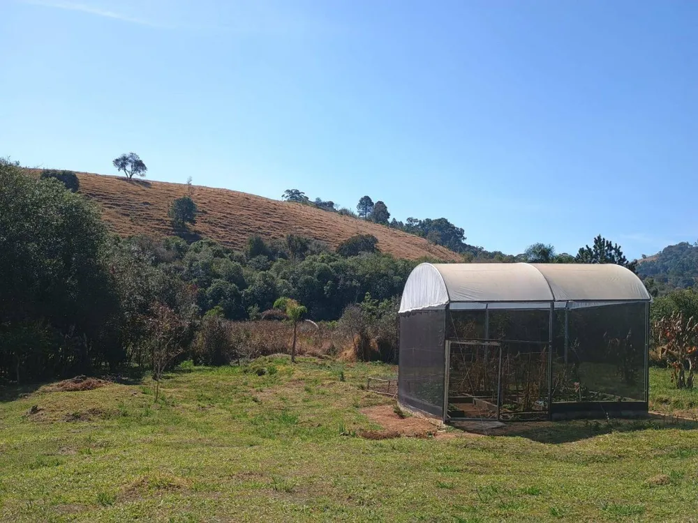 Sítio, 3 quartos, 3 hectares - Foto 3