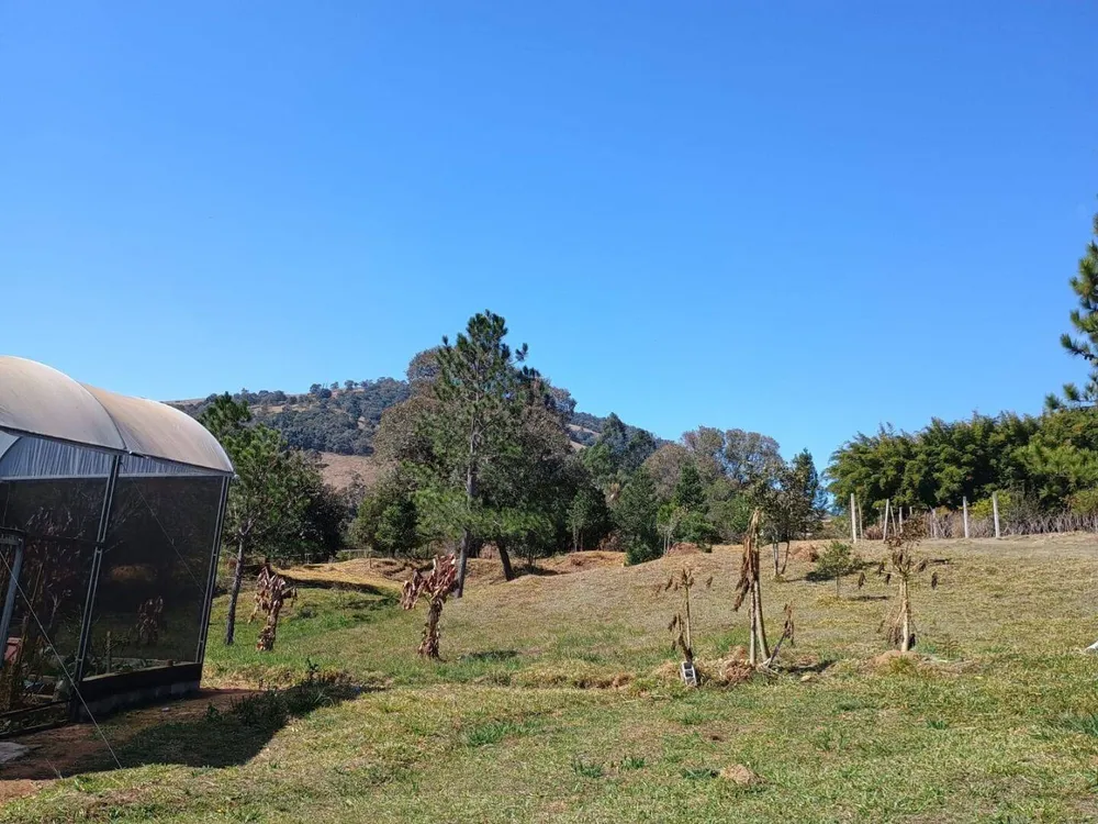Sítio, 3 quartos, 3 hectares - Foto 3