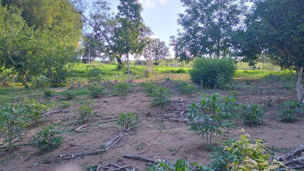 Sítio, 3 quartos, 3 hectares - Foto 13