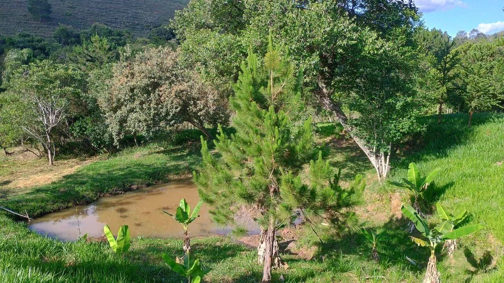 Sítio, 3 quartos, 3 hectares - Foto 14