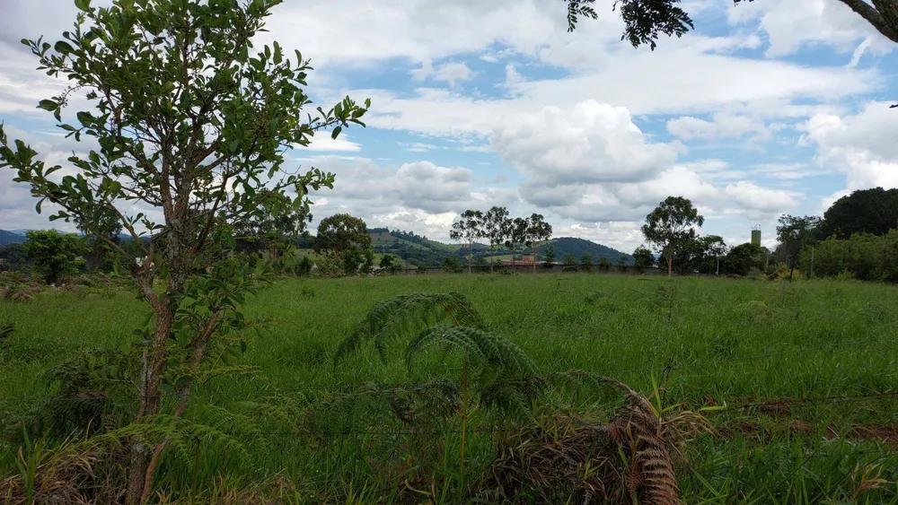 Prédio Inteiro - Foto 1