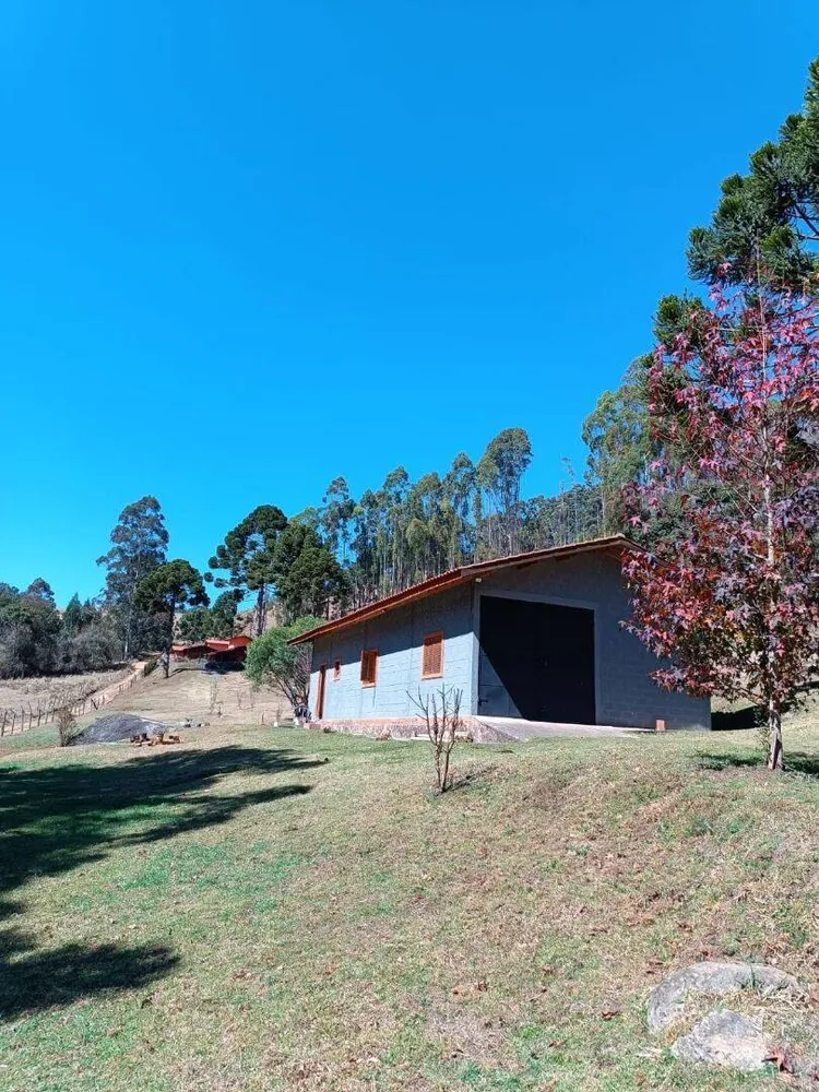 Sítio, 5 quartos, 13 hectares - Foto 7