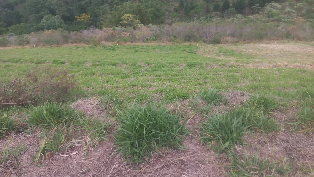 Terreno, 1000 m² - Foto 5