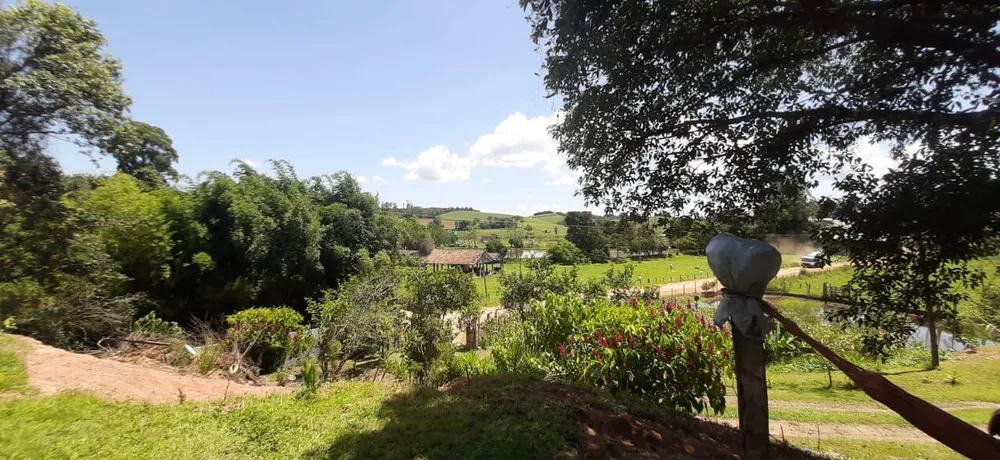 Chácara, 3 quartos, 4300 m² - Foto 4
