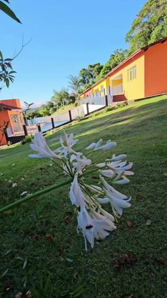 Sítio, 8 quartos, 2 hectares - Foto 4