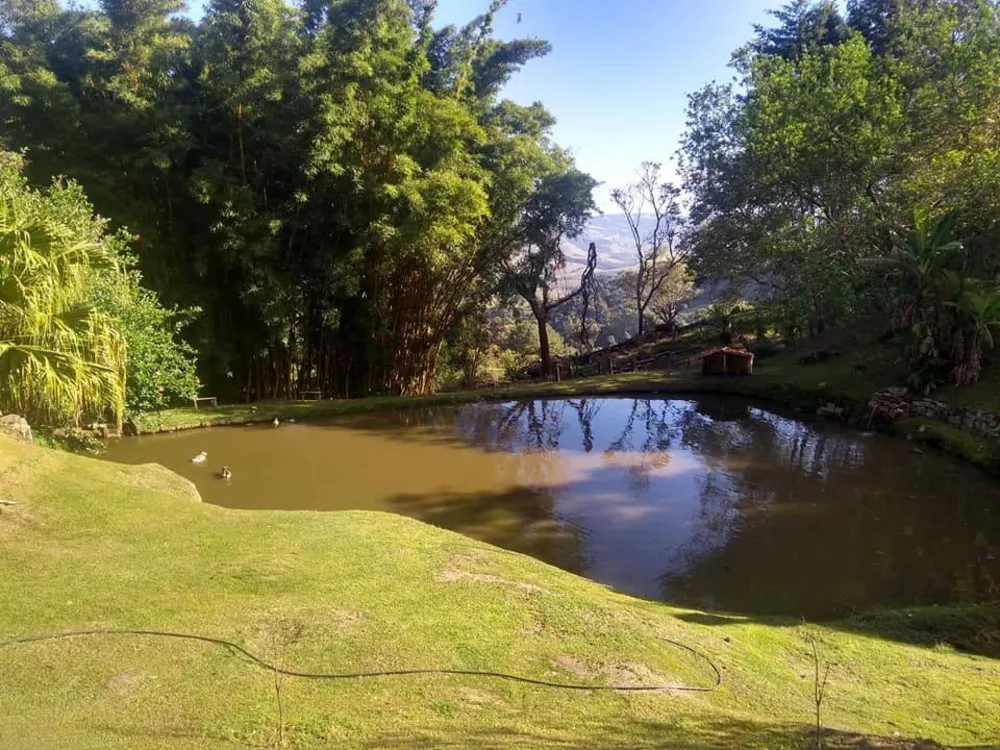 Prédio Inteiro, 1000 m² - Foto 5