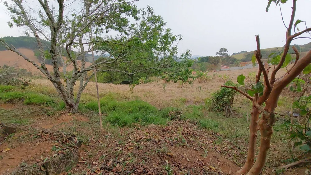 Chácara, 1 quarto, 1 hectares - Foto 11