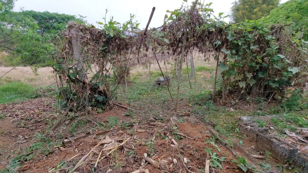 Chácara, 1 quarto, 1 hectares - Foto 10