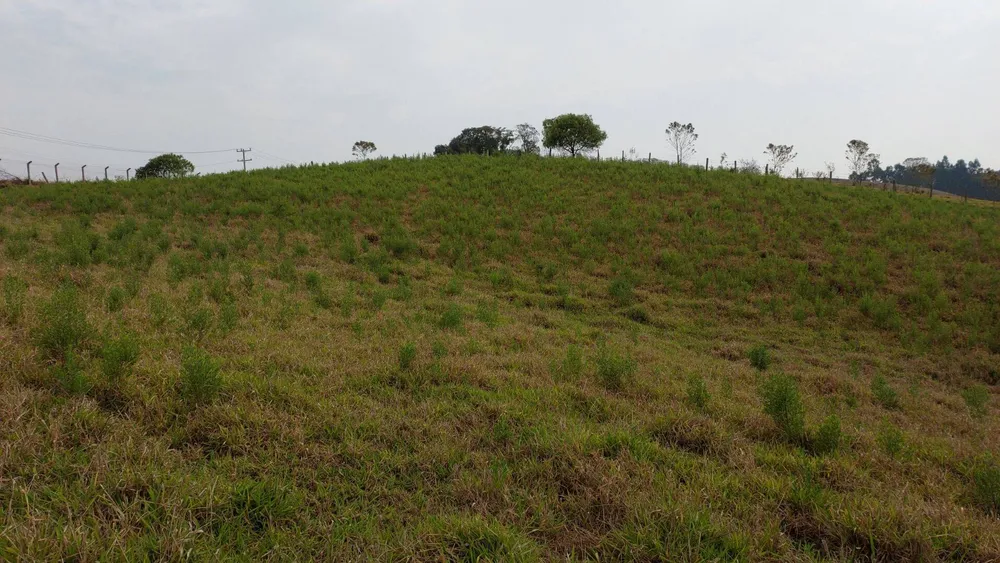 Chácara, 1 quarto, 1 hectares - Foto 12