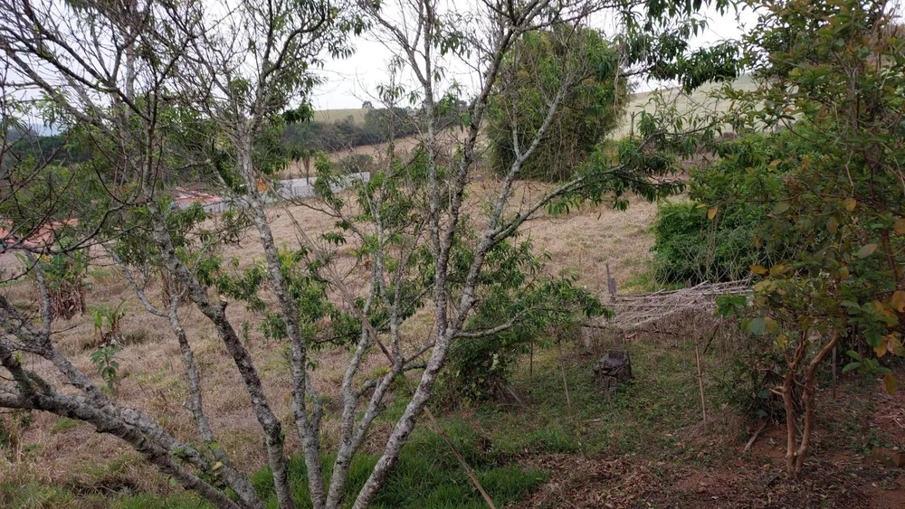 Chácara, 1 quarto, 1 hectares - Foto 6