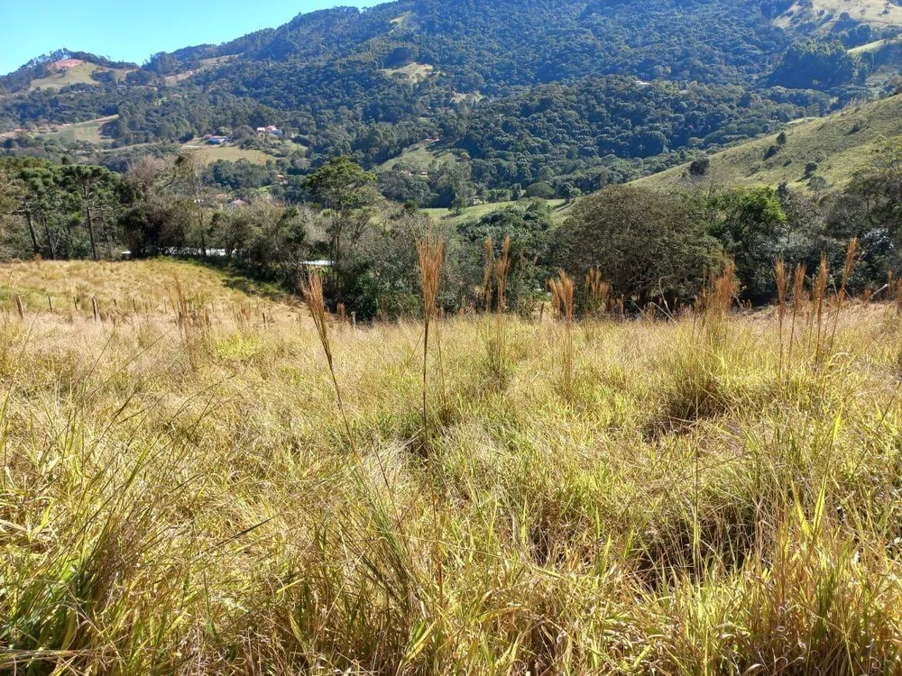 Prédio Inteiro - Foto 8