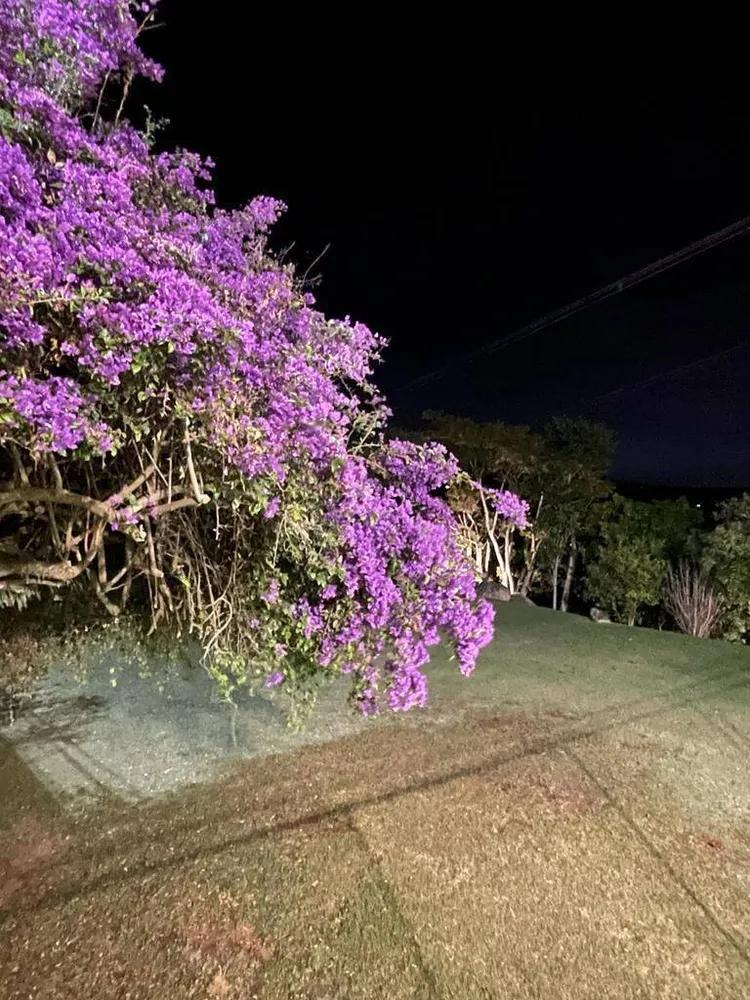 Sobrado, 8 quartos, 1100 m² - Foto 6
