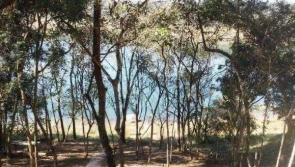 Chácara, 3 quartos, 1100 m² - Foto 4