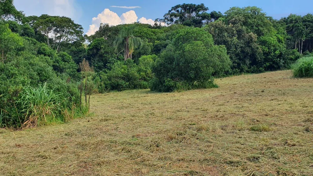 Prédio Inteiro - Foto 5
