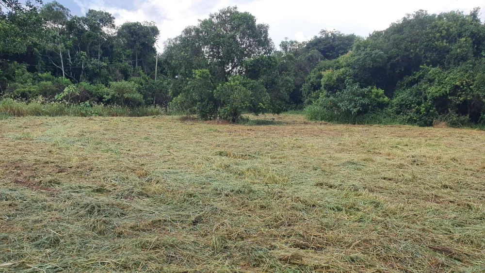 Prédio Inteiro - Foto 3
