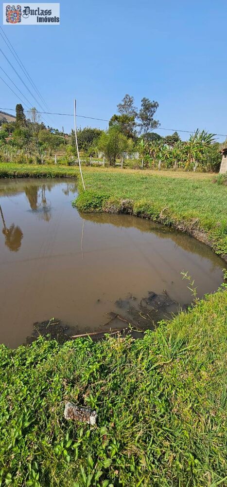 Chácara, 3 quartos, 4533 m² - Foto 7