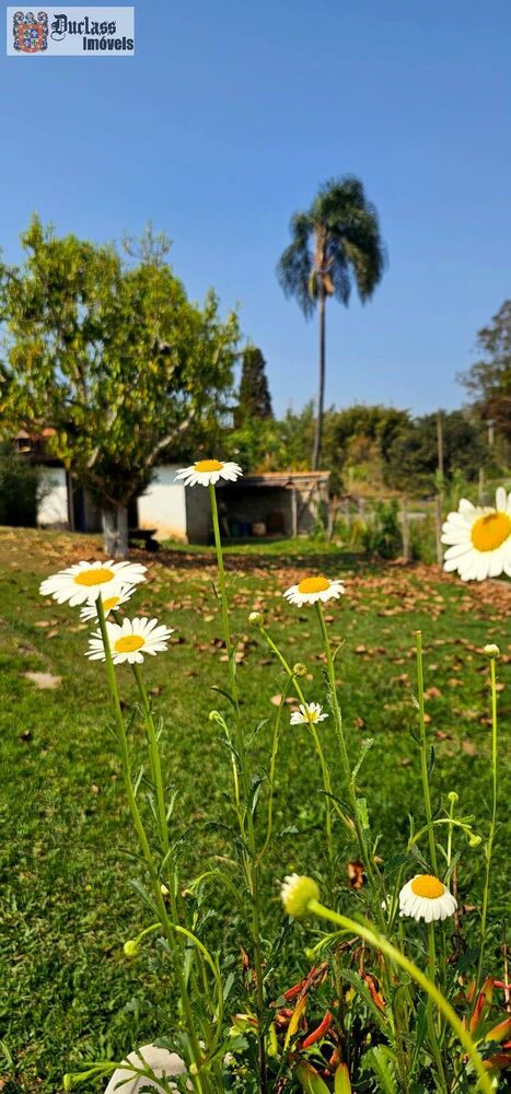 Chácara, 3 quartos, 4533 m² - Foto 8