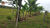 Chácara, 1 quarto, 1 hectares - Foto 13