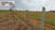 Chácara, 1 quarto, 1 hectares - Foto 4