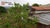 Chácara, 1 quarto, 1 hectares - Foto 2