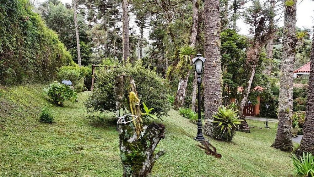 Casa, 3 quartos, 292 m² - Foto 8