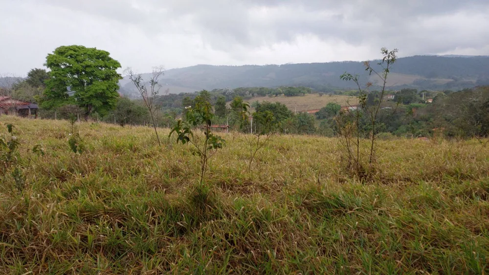 Terreno, 9200 m² - Foto 1
