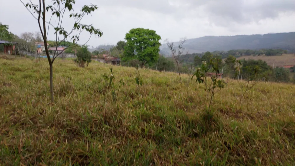 Terreno, 9200 m² - Foto 8