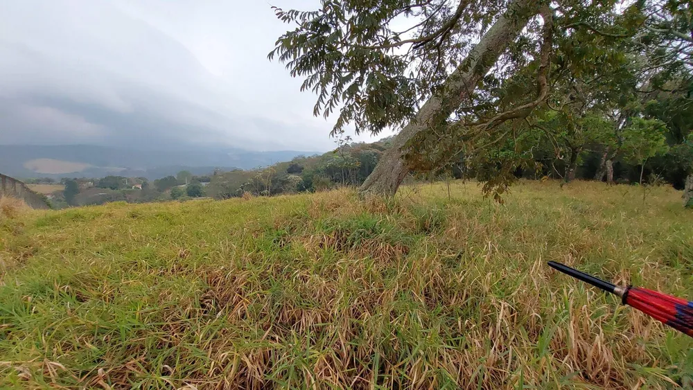 Terreno, 9200 m² - Foto 2
