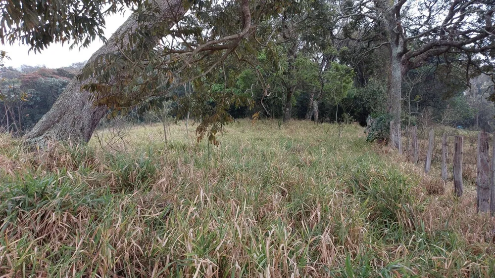 Terreno, 9200 m² - Foto 5