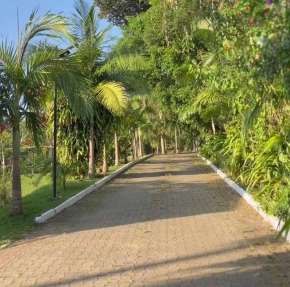 Sítio, 23 quartos, 12 hectares - Foto 7