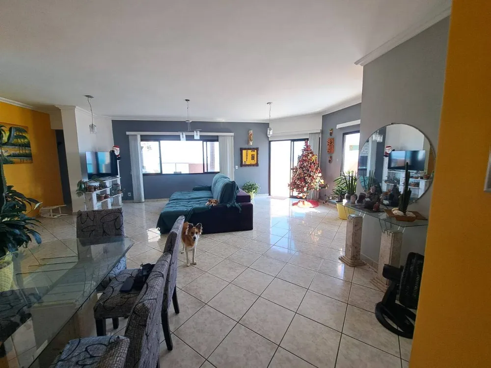 Cobertura, 4 quartos, 224 m² - Foto 7