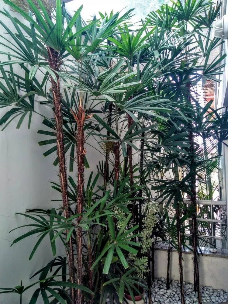 Sobrado, 4 quartos, 257 m² - Foto 12