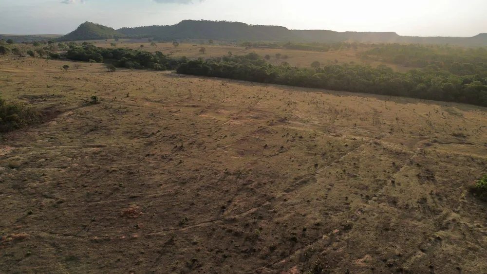 Terreno, 3125 hectares - Foto 4